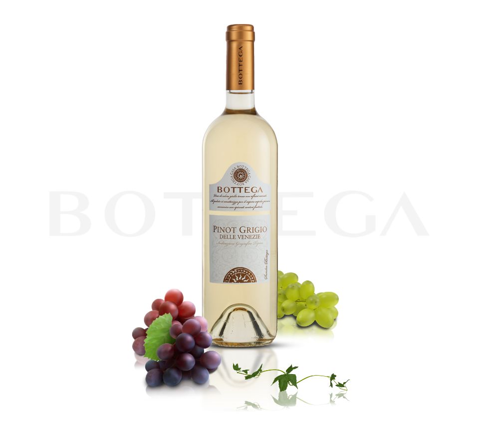 Bottega Wine