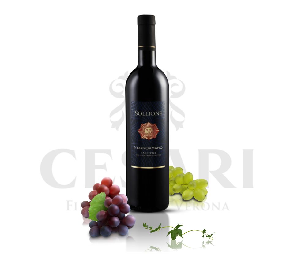 Cesari Wine