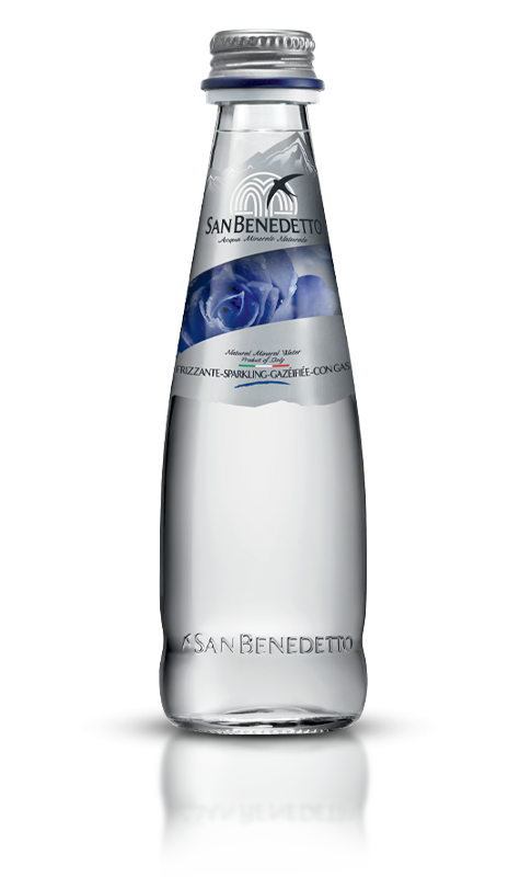 San Benedetto Sparkling 0,25lt Bottle